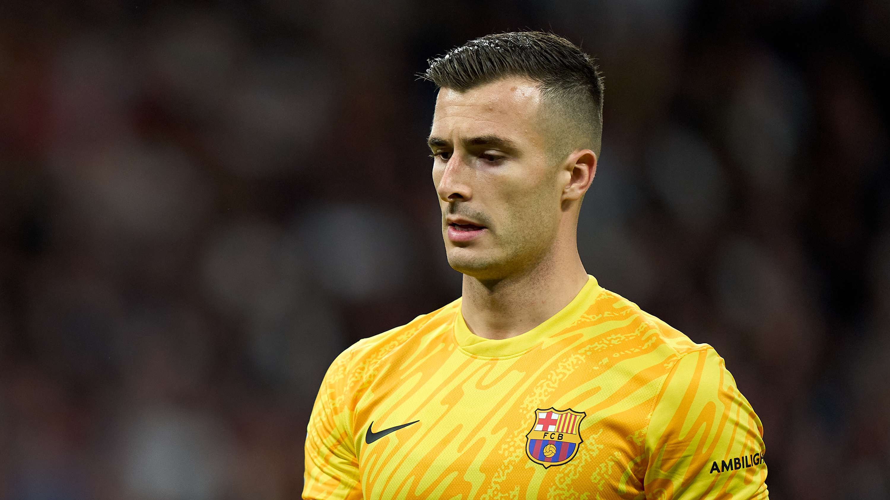 的阵容不仅 的阵容不仅