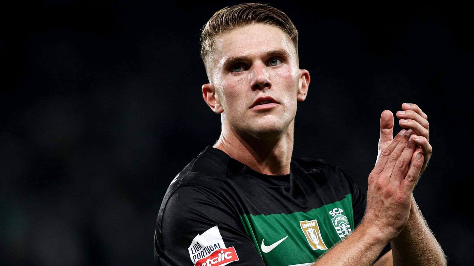 陪伴从风景 陪伴从风景